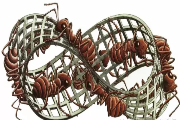 變化之術 魔鏡之家