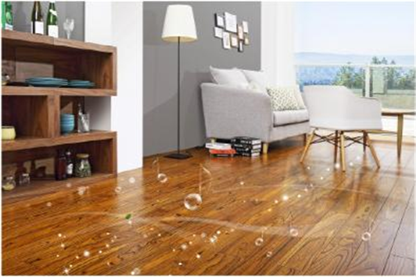 這份“地板新秀”的簡歷，幾乎亮瞎我的眼