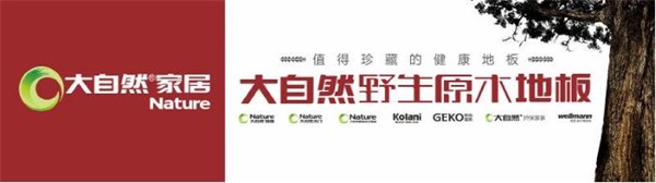 傳統建筑一棟房子70%使用木材