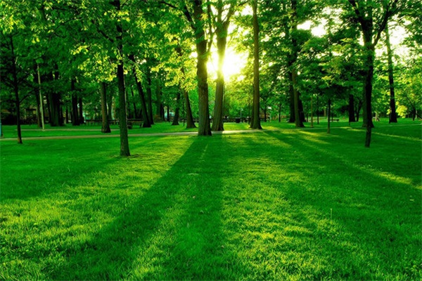 細數“偽環保”建材的那些噱頭