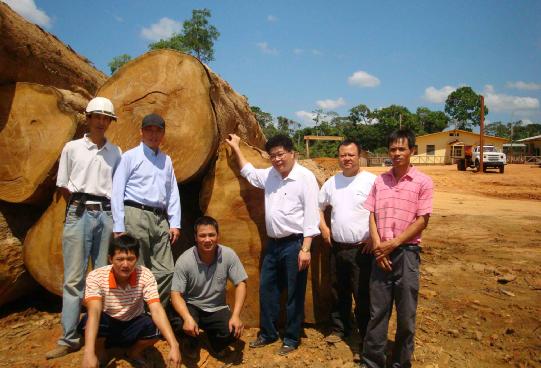踐行可持續發展理念 大自然家居助力中秘林業合作