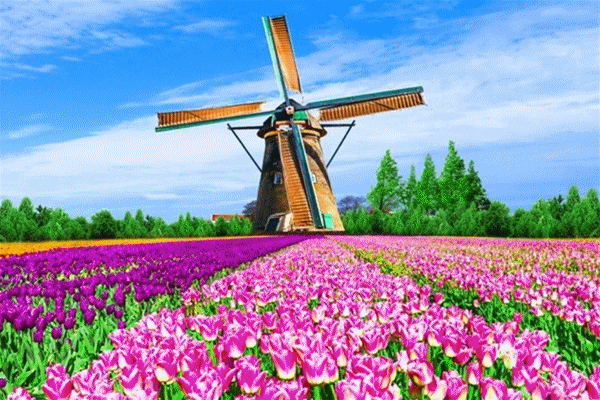 一張來自荷蘭駐華大使館的“世界的生活家”邀請函