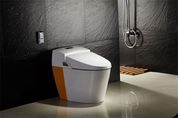 為何國內(nèi)智能坐便器市場(chǎng)普及率僅有1%？