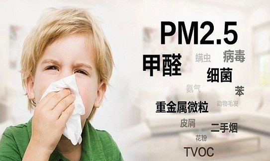 大自然地板，增強(qiáng)家居的安全感