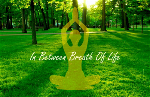 大自然地板，增強(qiáng)家居的安全感