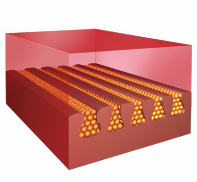 大自然地暖地板，將健康和環保進行到底