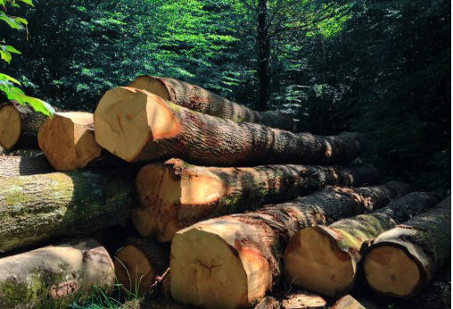 大自然地暖地板，為你承載一室溫暖