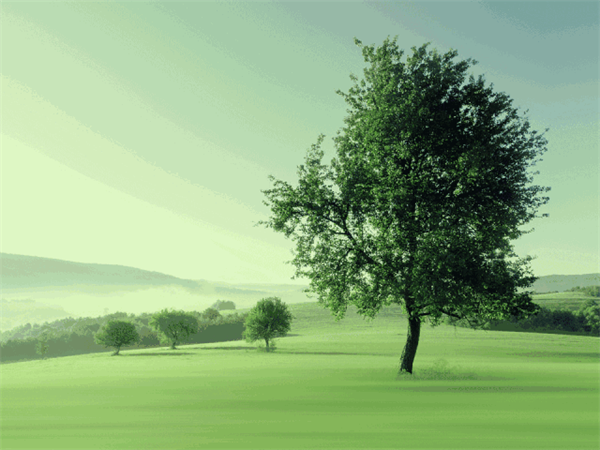 2018生活家年會(huì)產(chǎn)品關(guān)鍵詞：國(guó)際化！年輕化！