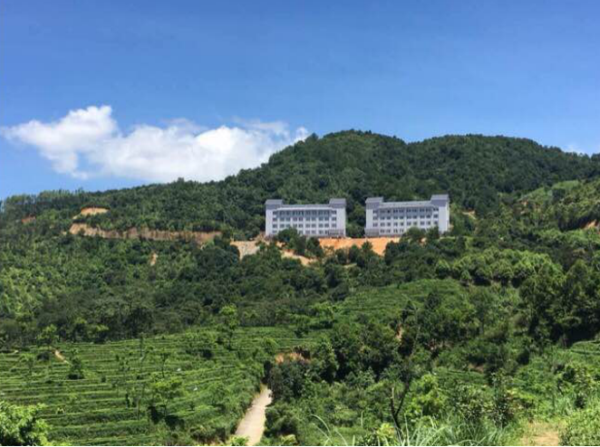 光照人茶業(yè)品牌4月21日亮相北京國際民宿產(chǎn)業(yè)博覽會