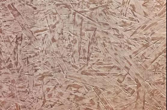 陽光灑在枝蔓上 投下斑駁的影子 天花的時間印記 融于空間本身 空間隨著時間變化 隨著陽光生長 它 是有生命的