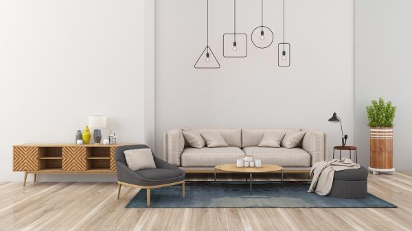 上市公司業(yè)績出爐，京東發(fā)布春節(jié)消費報告