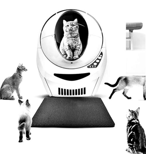 中國寵物消費市場規模達到1708億元，比2017年增長了27%。到2020年，消費市場規模可能達到2000億元。從養寵人數上看，2018年中國城鎮“寵物主”隊伍已經達到7355萬人，其中80后、90后占比達到75%。